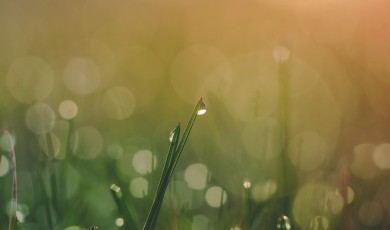 Ademruimte met Compassie Mindfulness Meditatie